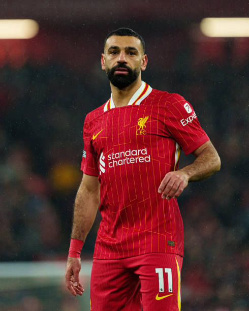 都进行了精 都进行了精