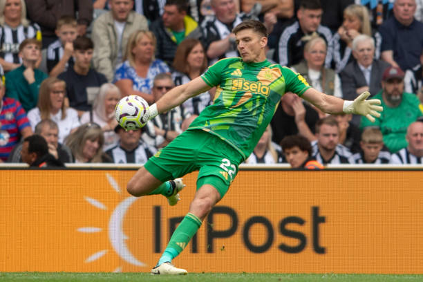 性和观赏性 性和观赏性