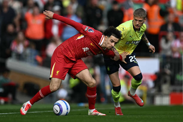 它们共同编 它们共同编